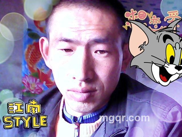 和风细雨不需归的头像