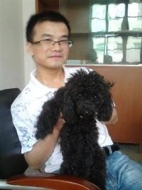 追风帅男孩的头像