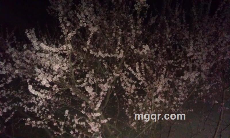 散儿凌无企无儿期死的头像