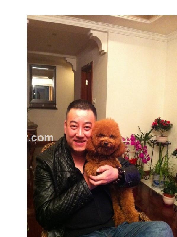 等待的邂逅的头像