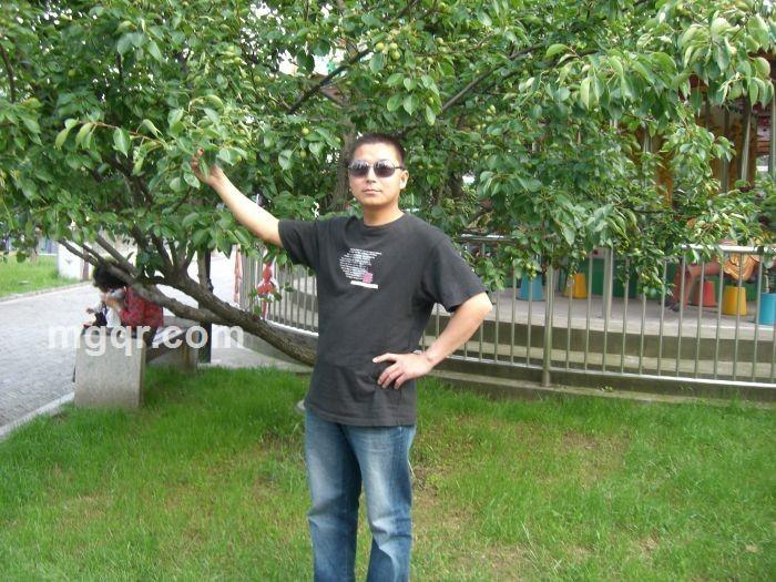 心似狂潮123的头像