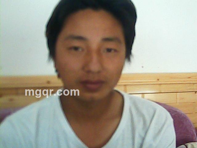 问世间真爱在哪里的头像