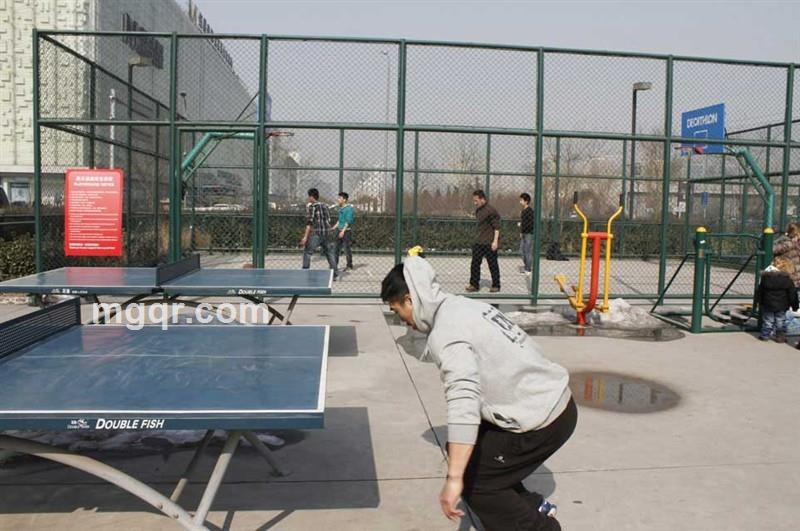 阳光生活的狼的头像