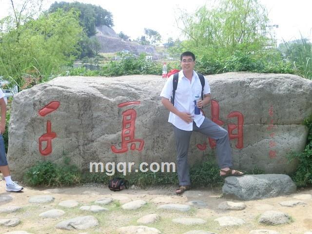 西方的牛的头像