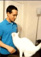 样洋的头像