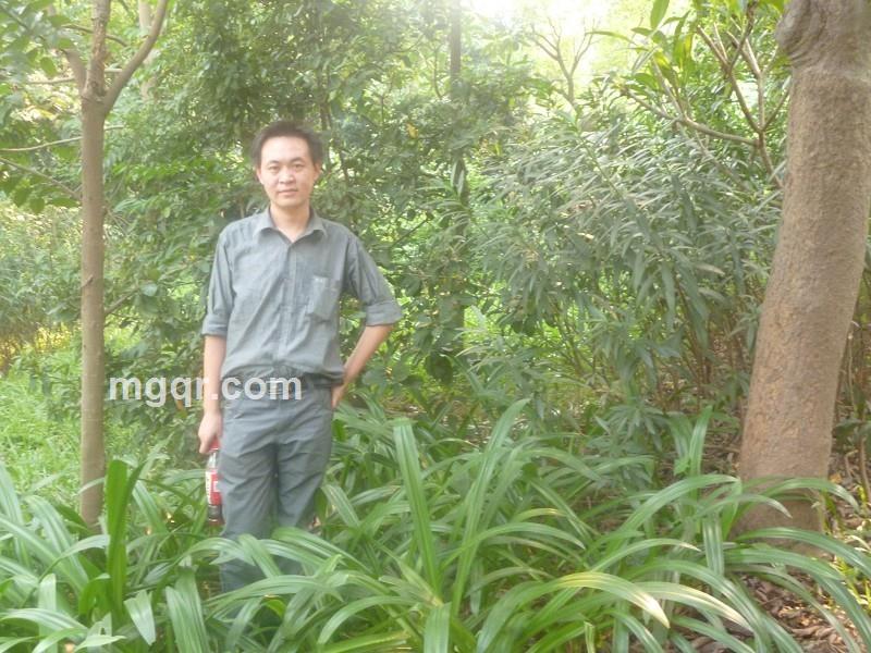 为那已悔的承诺