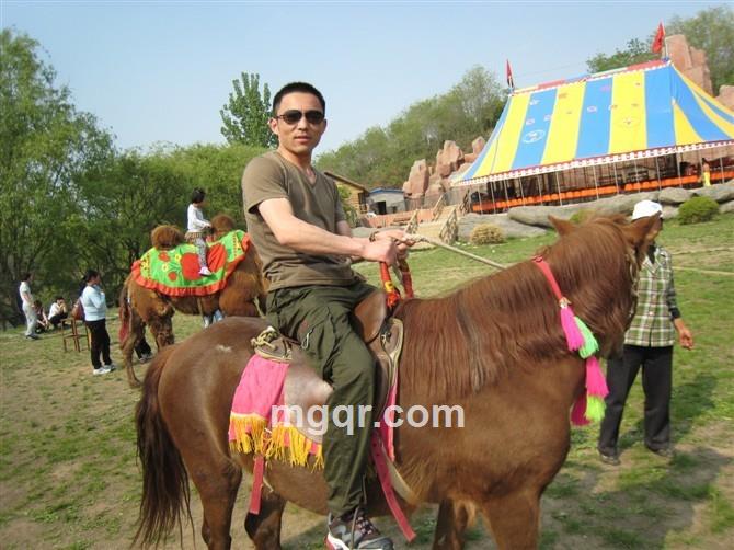 往事如风AAAAA的头像