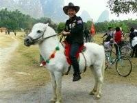 爱神秃鹫的头像