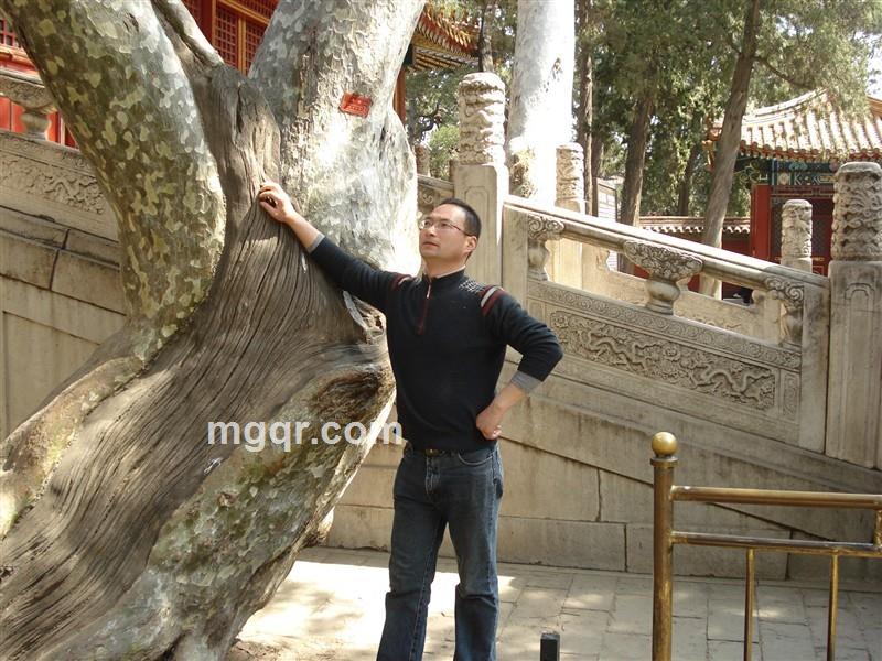 爱爱宝贝天易的头像