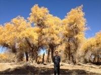 同城找寻的头像