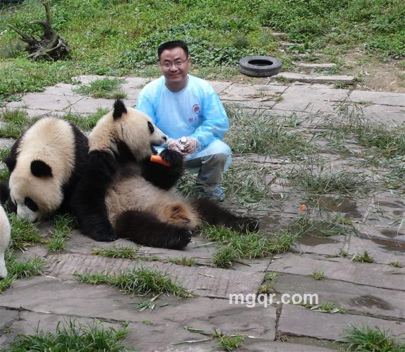 男人是龙的头像