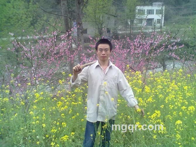 绝对到位的头像