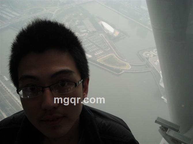 陪伴你的绿叶的头像