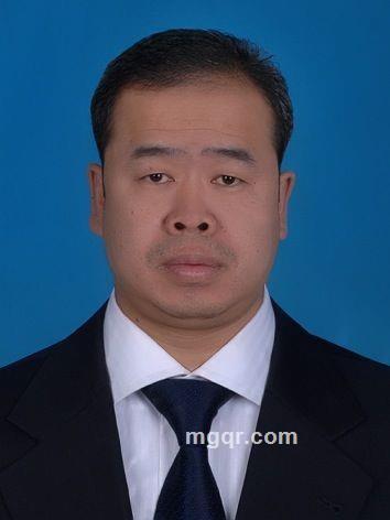 熊出没的头像
