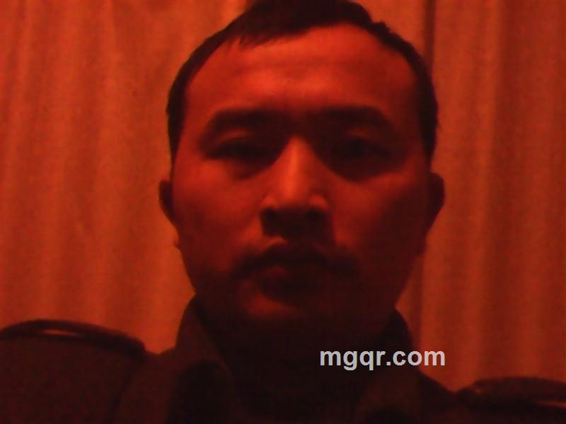 真爱的港湾的头像