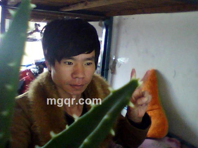 问问我爱的人在哪里的头像