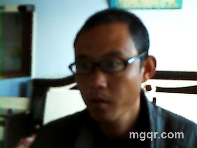 天空中的小鸟的头像