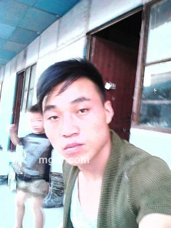 最贱不过感情的头像