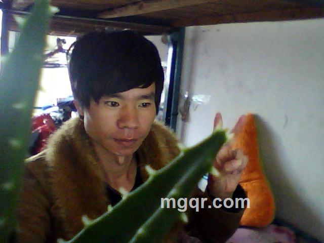 我的爱要就爱到底的头像