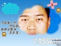 爱的抉择2013的头像