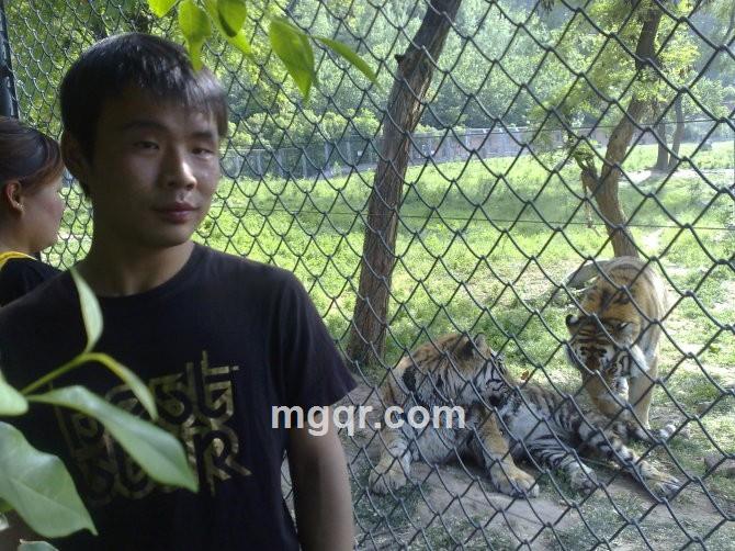 陌然。。。的头像