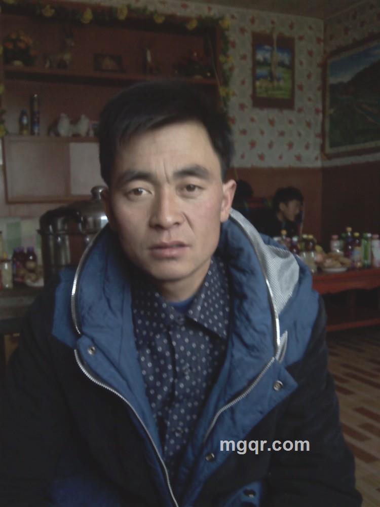 雪狼的头像