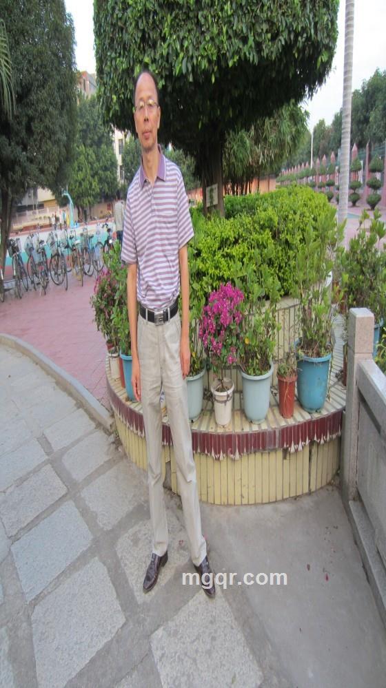 迷尔酷男的头像