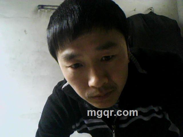 猪头猪头的头像