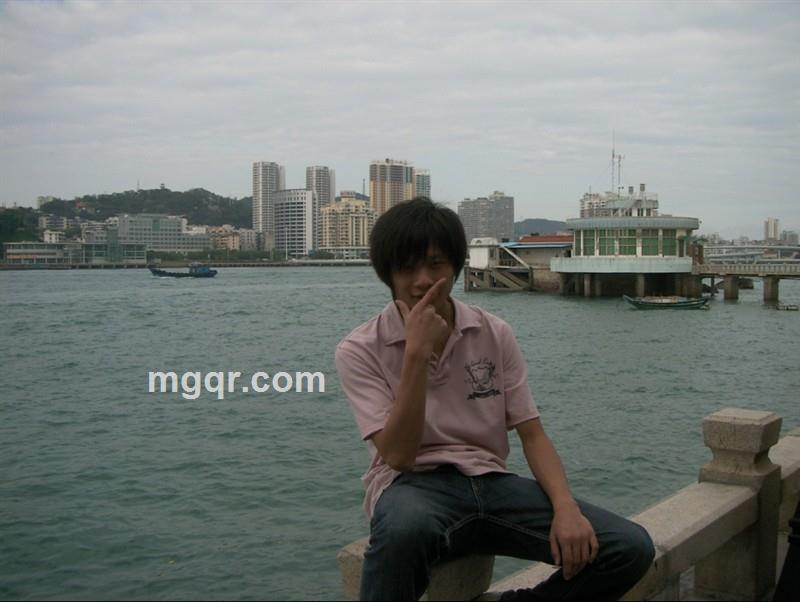 冰色的牛的头像