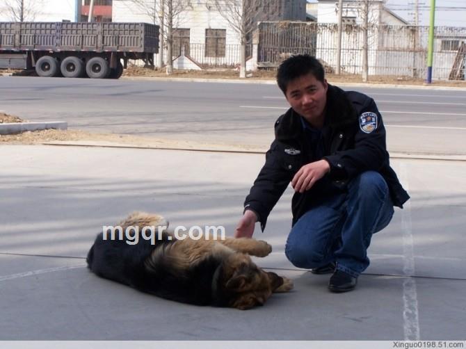 夜幕下拥抱的头像