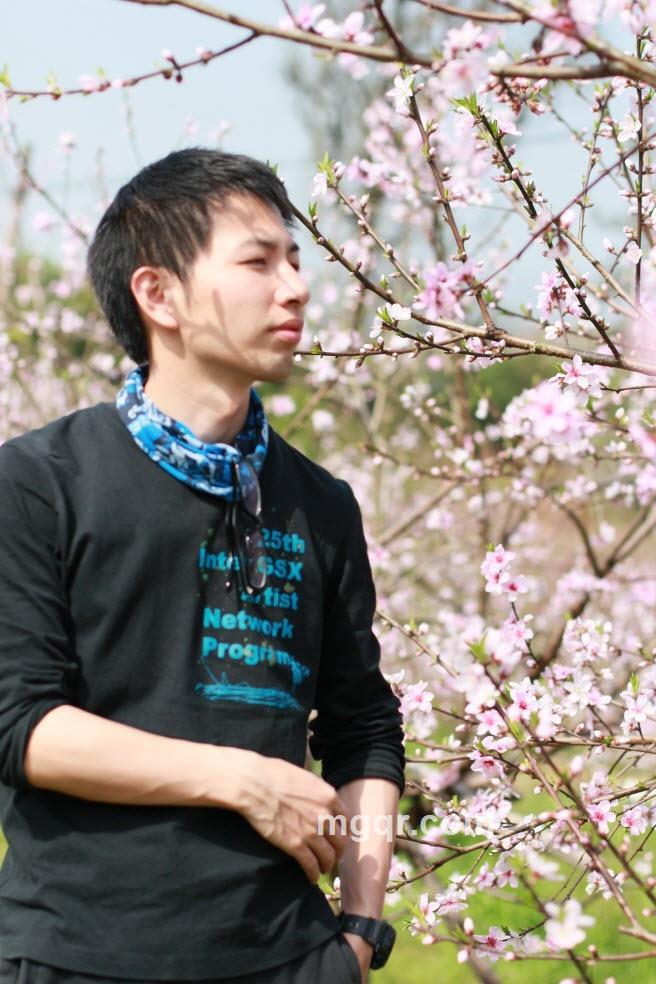 乙酒试舞灵以留山灵扇的头像