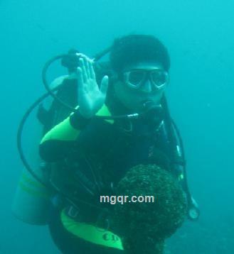 上海天蝎男的头像