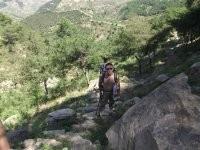 木头虫子的头像