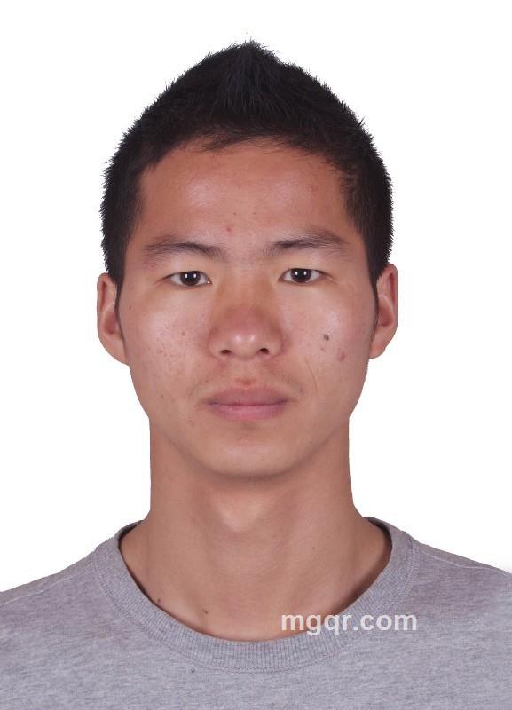 会路的鲨鱼的头像