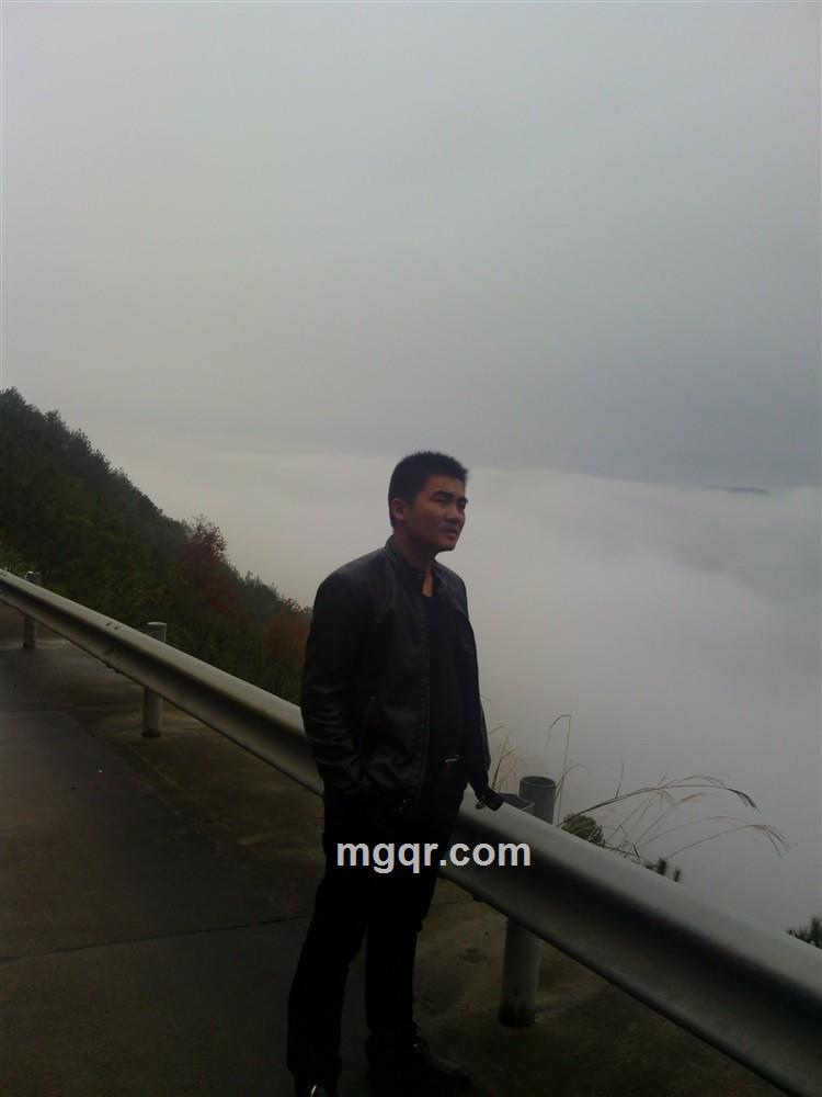 树叶一样的男人的头像