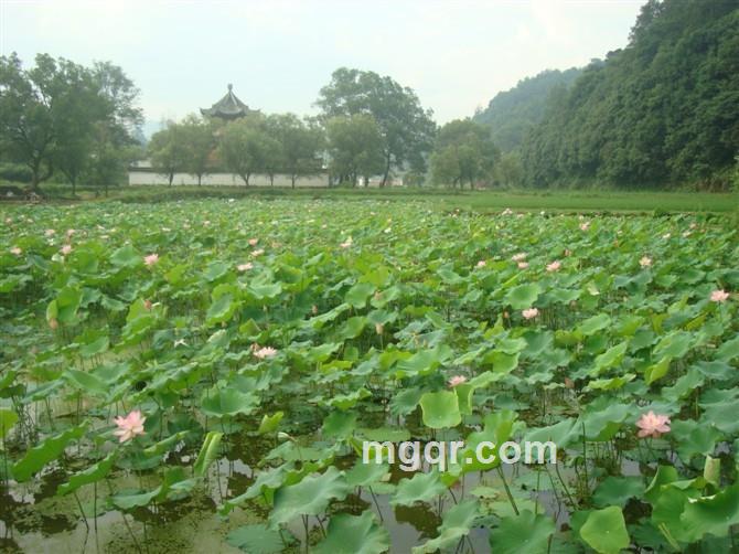 幸福就是女人的温柔的头像