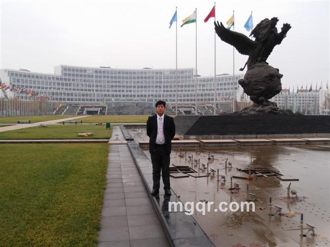 大海和鱼的头像