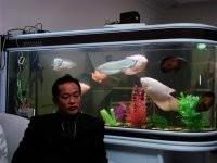 等爱盼缘的头像