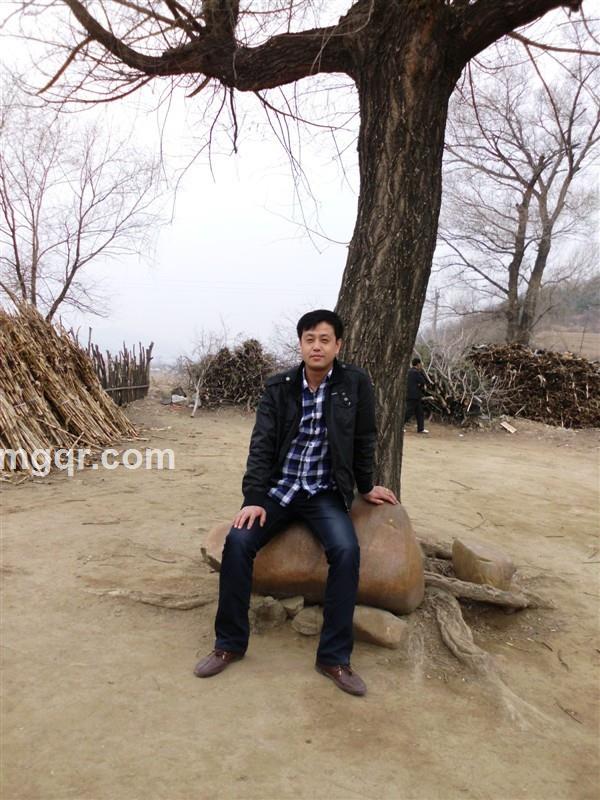 心不在飞翔的头像