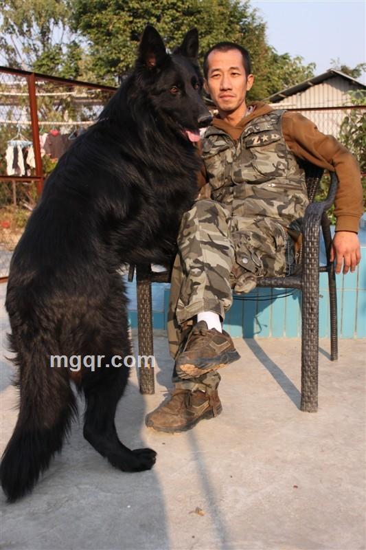 末世修罗的头像