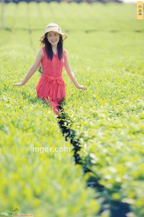 紫衣梦云的头像