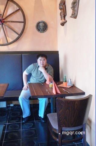 为鸟找巢的头像