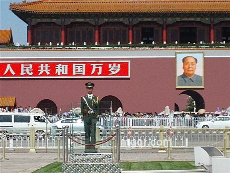 空虚的流浪汉的头像