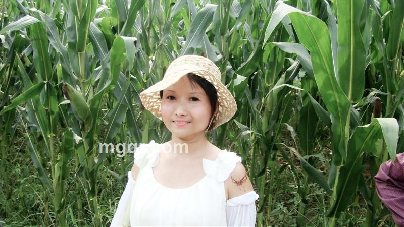 琴韵书声的头像