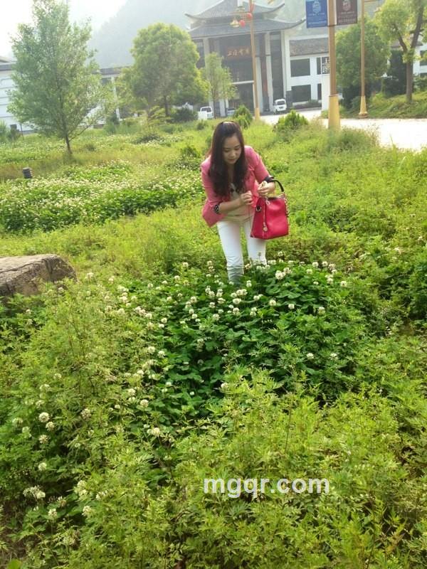 乖乖兔.兰的头像