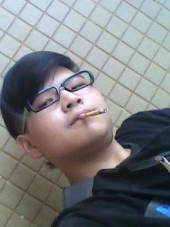 会摇尾巴的狼的头像