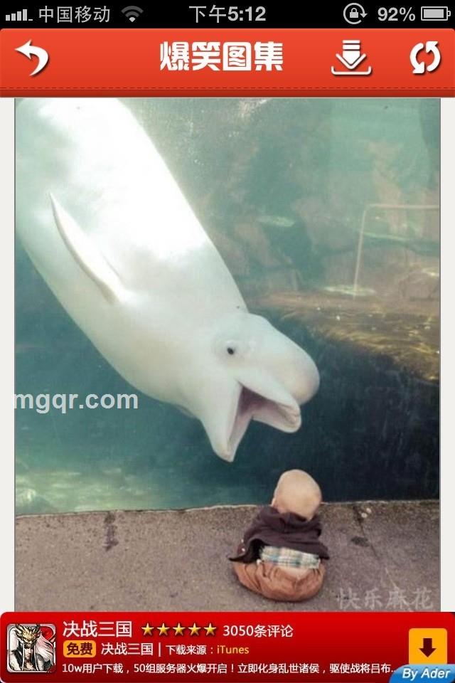 小阿迪、的头像