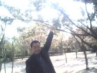 男儿似酒的头像