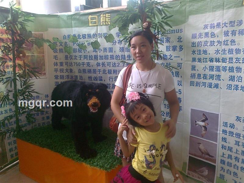 被伤透了的妮子的头像