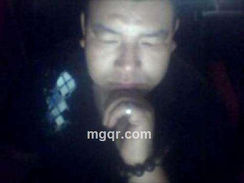 流浪的牛的头像